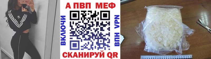 закладка  Пионерский  Alfa_PVP СК КРИС 