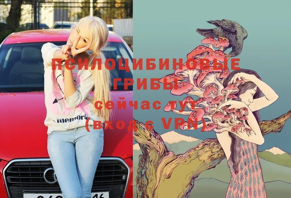 дмт Горно-Алтайск
