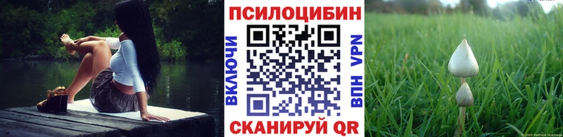 Галлюциногенные грибы прущие грибы omg зеркало Пионерский